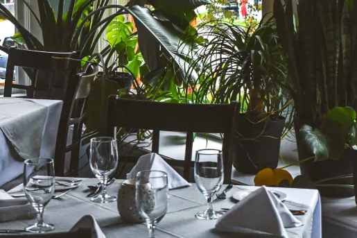 Dining table with white cloth and wine glasses, with plants in the background