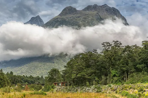 Foggy, large mountain with a forest on the ground level