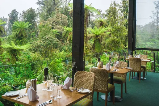 Outdoor patio with square tables and woven chairs, looking out to a forest
