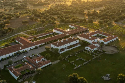 Sky view of large white buildings with a valley of trees in the distance