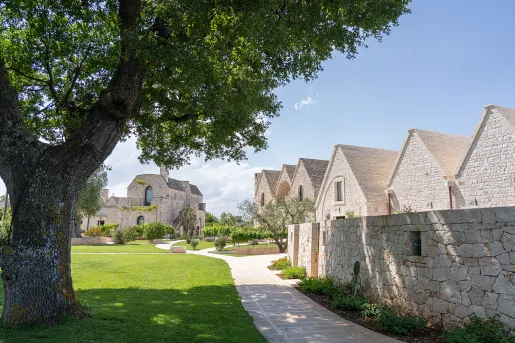Row of white, stone buildings with a grass area and large tree in front