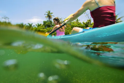 Women paddling on blue kayaks in the water