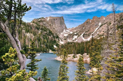 Large lake in a forest surrounded by tall trees