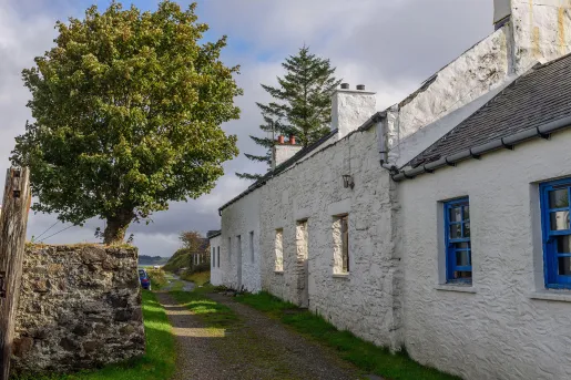 Alleyway with white, stone buildings and a large tree to the left