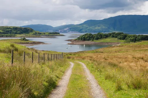Rocky, dirt trail with a lake in the background