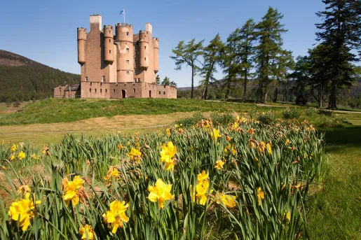 Brown, castle-like building with a big valley in front