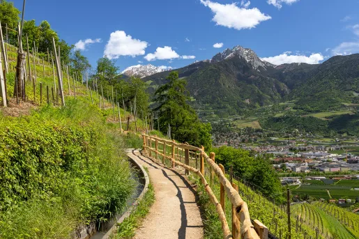 Trail looking towards a town in the distance