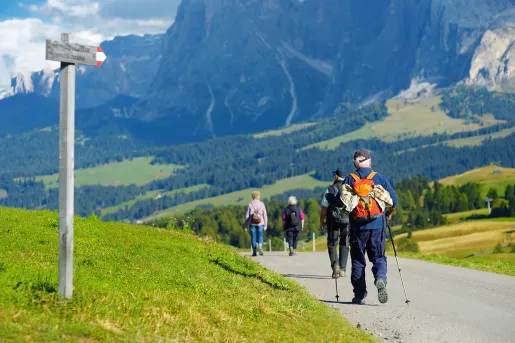 Group of people with walking poles, walking through a road with mountains in the distance
