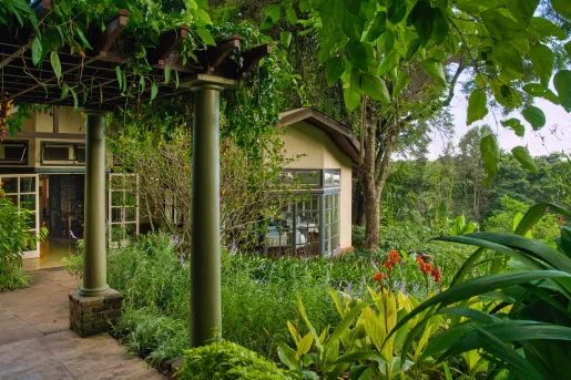 Exterior view of beige building surrounded by thick plants and trees
