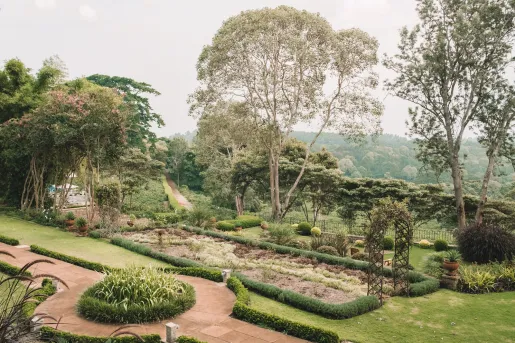 Outdoor garden with large trees and trimmed bushes
