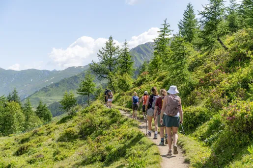 Group of women walking a trail surrounded by tall grass and plants