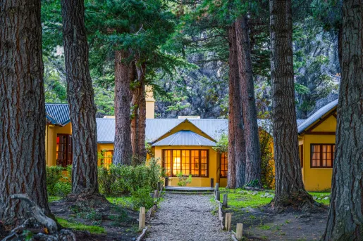 Large, yellow building in the middle of a forest, with rows of tall trees in front