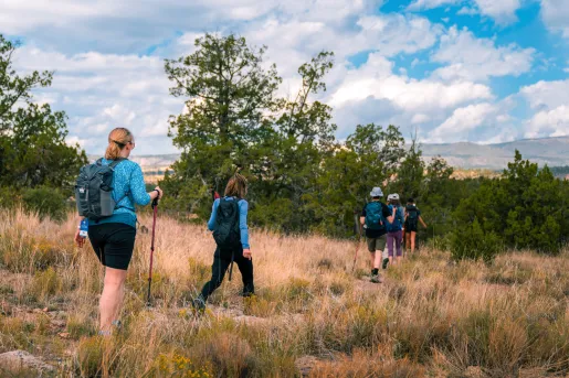 Group of people hiking along tall weeds on a dirt trail