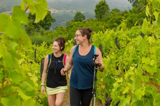 Two women walking along crop fields with walking poles