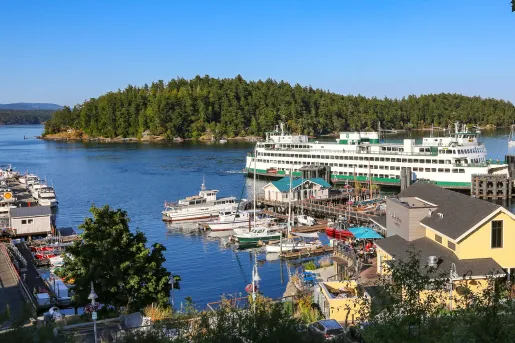 Wide view of a lake and boats docked by the shore