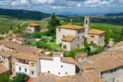 Sky view of rustic beige houses in a village, with crop fields in the distance