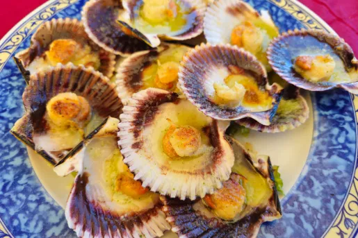 Scallops in their shells, grilled and put on a plate