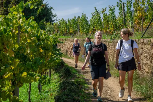 Group of four women walking along a vineyard on a dirt trail