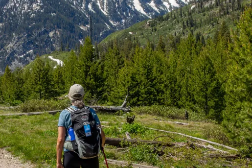 Woman with a hiking pole, walking through a dirt trail surrounded by a large forest