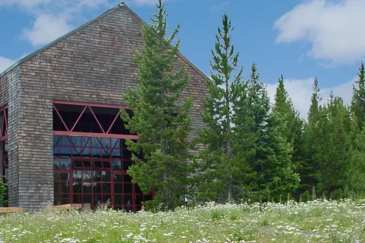 Exterior view of brick house with tall trees and a grass field in front