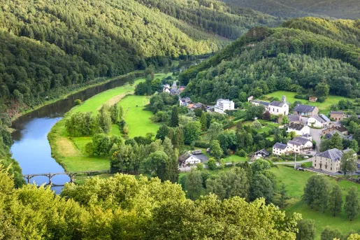 Open valley with tall trees and a small town in the center