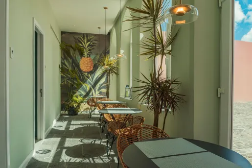 Hallways with large windows and potted plants along the walls