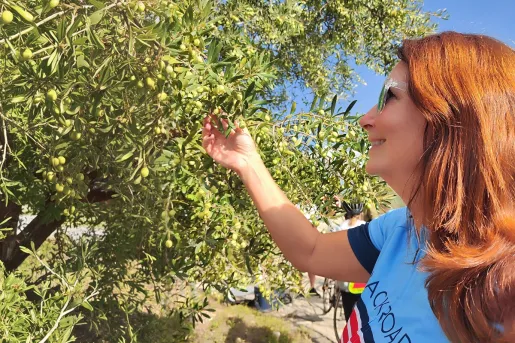 Woman reaching up and holding a bundle of olives