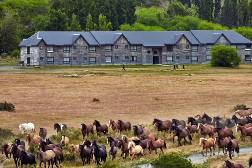 Exterior view of large hotel building with a herd of horses in front
