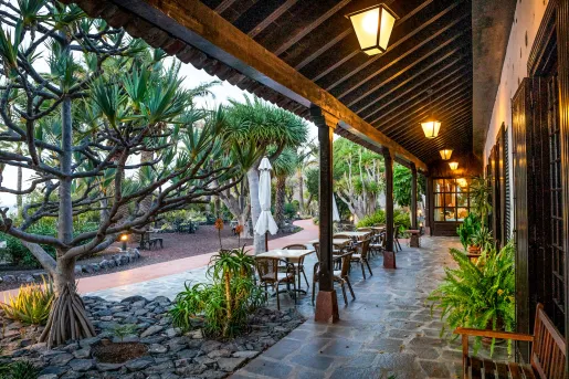 Outdoor patio and garden area with tables and chairs, with tall trees surrounding a building