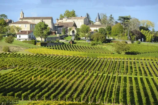 Vineyards and medieval villages on the Bordeaux & Dordogne Bike Tour