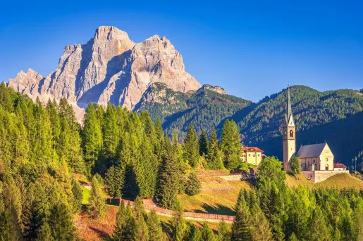 Sunshine hitting tall trees and a church building in a valley