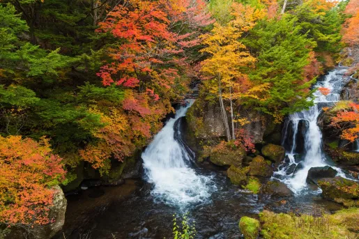 Autumn Colors and Ryuzu waterfall, Nikko Japan.