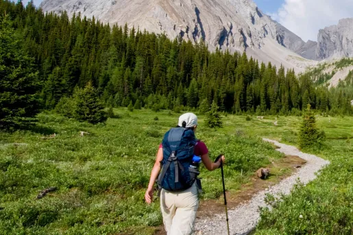 Woman with a backpack and hiking pole, walking on a gravel trail in a large valley