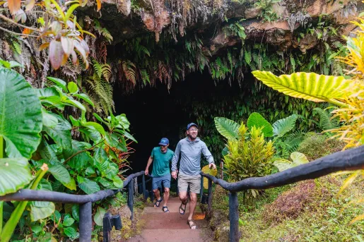 Two men ascending stairs surrounded by dense trees