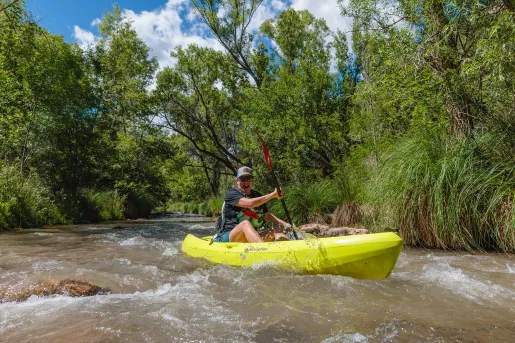 Person paddling a bright green kayak through a shallow river bordered by dense green vegetation.