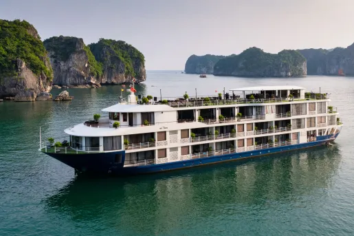 Large cruise ship floating on the water