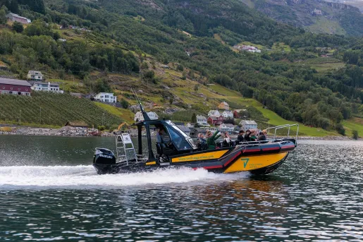 Boat speeding through the water, with a grassy hill in the background