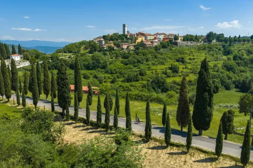 Aerial view of a cyclist riding along a road lined with tall cypress trees through rolling green countryside. A hilltop village with stone buildings and a church tower overlooks the landscape beneath a clear blue sky.