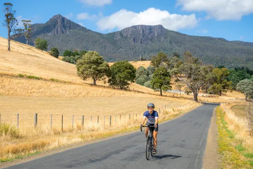 Person biking on a road with dried field patches on both sides