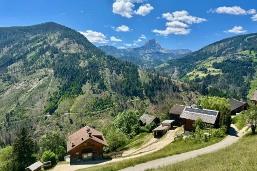 Panoramic view of a rural alpine valley featuring traditional farmhouses, winding roads, forested hillsides, and a distinctive mountain peak in the distance under a bright blue sky.