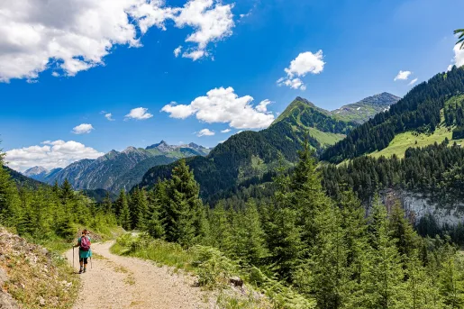 Person walking on a dirt trail, with a forest and mountains to the right
