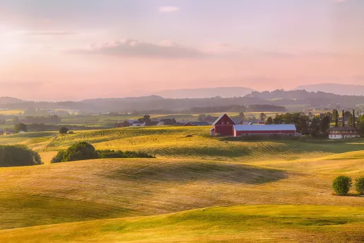 Large open field with orange and green grass
