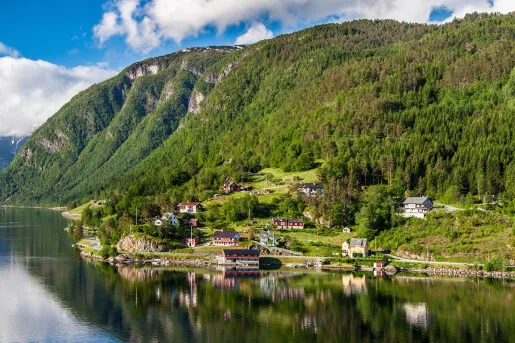 Wide view of a hill covered in forest, with buildings by the shore
