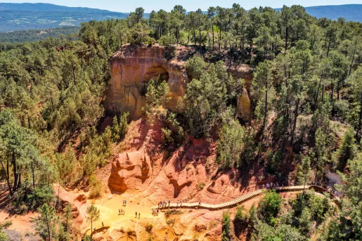 Large canyon covered in tall, green trees