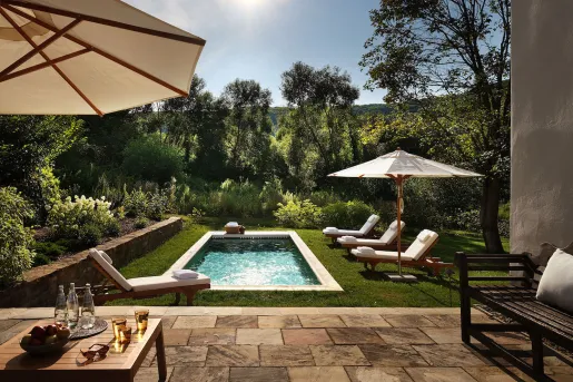 Outdoor pool surrounded by tall trees and white umbrellas