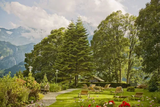 Building surrounded by tall trees in a valley