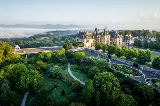 Wide shot view of a castle-like building surrounded by forrest