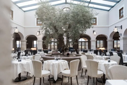 Restaurant dining hall with white tables and chairs with a large tree in the center