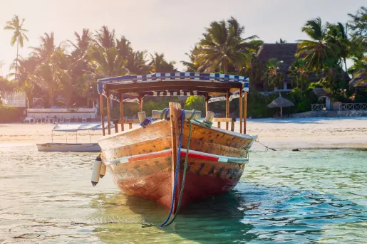 Boat by the ocean coast, with large palm trees in the background