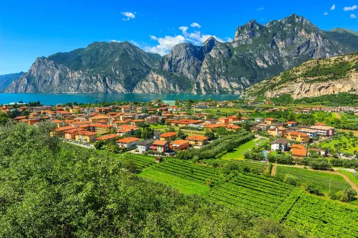 Sky view of large valley and a town, next to the ocean